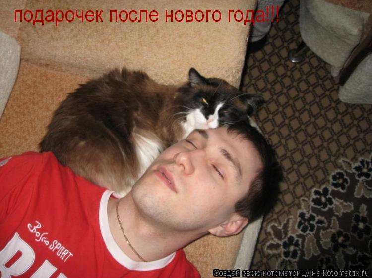 подарочек после нового года!!!... Котоматрица: подарочек после нового года!!!