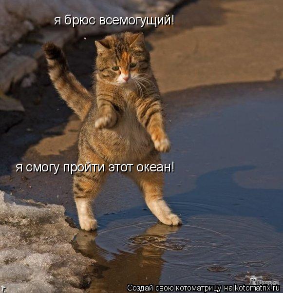 я брюс всемогущий! я смогу пройти этот океан!... Котоматрица: я брюс всемогущий! я смогу пройти этот океан!
