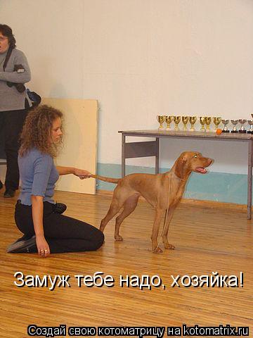 Замуж тебе надо, хозяйка!... Котоматрица: Замуж тебе надо, хозяйка!