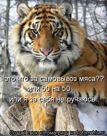 это что за самовывоз мяса?? или 50 на 50 или я за себя не ручаюсь..... Котоматрица: это что за самовывоз мяса?? или 50 на 50 или я за себя не ручаюсь..