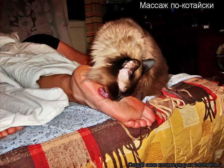 Массаж по-котайски... Котоматрица: Массаж по-котайски