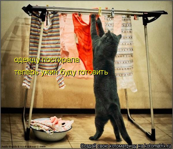 одежду постирала теперь ужин буду готовить... Котоматрица: одежду постирала теперь ужин буду готовить