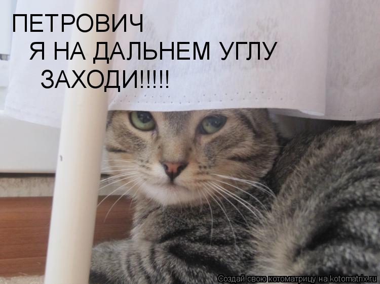 ПЕТРОВИЧ Я НА ДАЛЬНЕМ УГЛУ ЗАХОДИ!!!!!... Котоматрица: ПЕТРОВИЧ Я НА ДАЛЬНЕМ УГЛУ ЗАХОДИ!!!!!