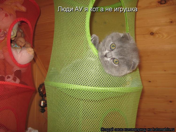 Люди АУ я кот а не игрушка... Котоматрица: Люди АУ я кот а не игрушка
