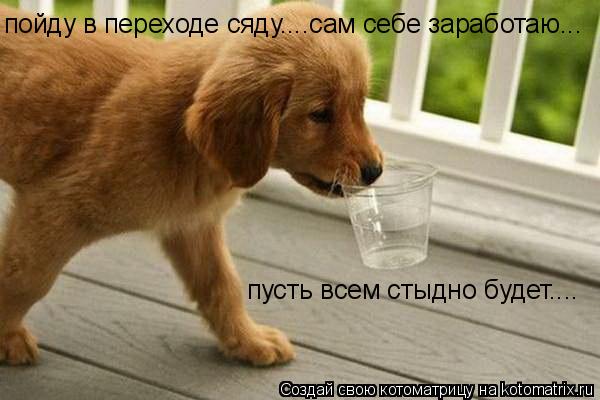 пойду в переходе сяду....сам себе заработаю... пусть всем стыдно будет....... Котоматрица: пойду в переходе сяду....сам себе заработаю... пусть всем стыдно будет....