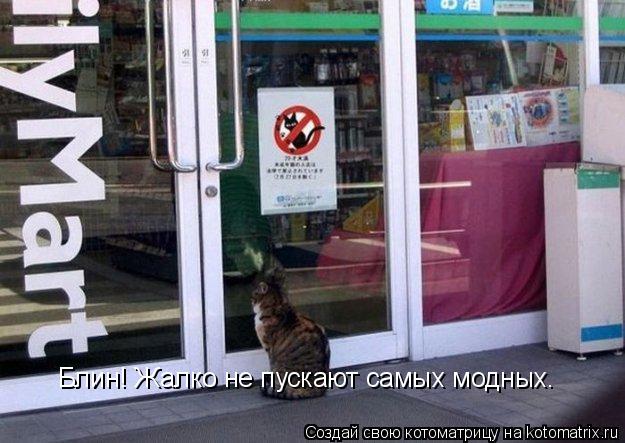 Блин! Жалко не пускают самых модных.... Котоматрица: Блин! Жалко не пускают самых модных.