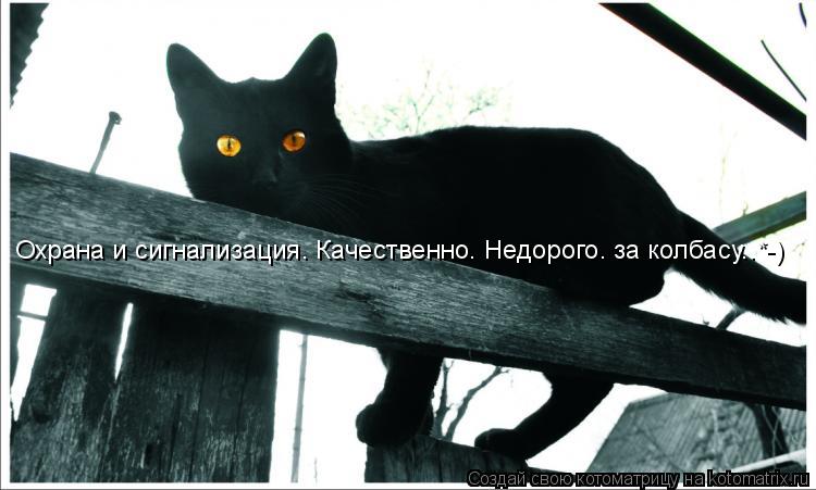 Охрана и сигнализация. Качественно. Недорого. за колбасу..*-)... Котоматрица: Охрана и сигнализация. Качественно. Недорого. за колбасу..*-)