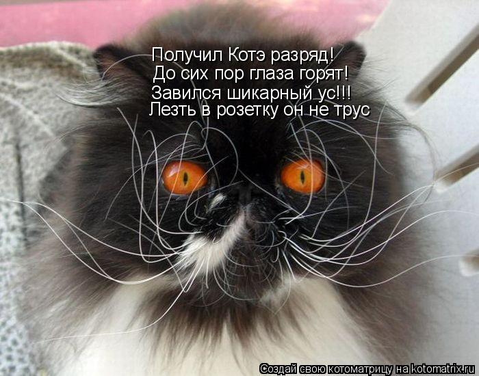 Получил Котэ разряд! До сих пор глаза горят! Завился шикарный ус!!! Лезть в розетку он не трус... Котоматрица: Получил Котэ разряд! До сих пор глаза горят! Завился шикарный ус!!! Лезть в розетку он не трус
