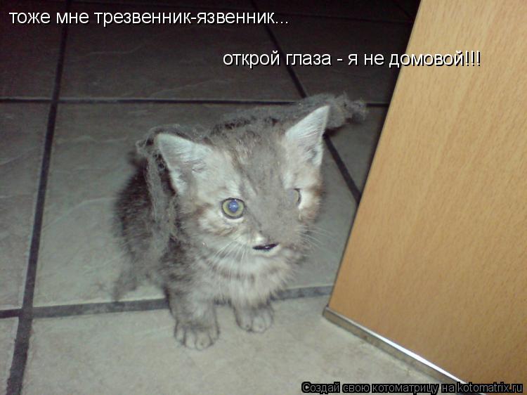 тоже мне трезвенник-язвенник... открой глаза - я не домовой!!!... Котоматрица: тоже мне трезвенник-язвенник... открой глаза - я не домовой!!!