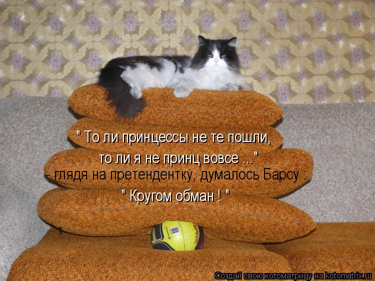 " То ли принцессы не те пошли, то ли я не принц вовсе ..." - глядя на претендентку, думалось Барсу :... Котоматрица: " То ли принцессы не те пошли, то ли я не принц вовсе ..." - глядя на претендентку, думалось Барсу : " Кругом обман ! "