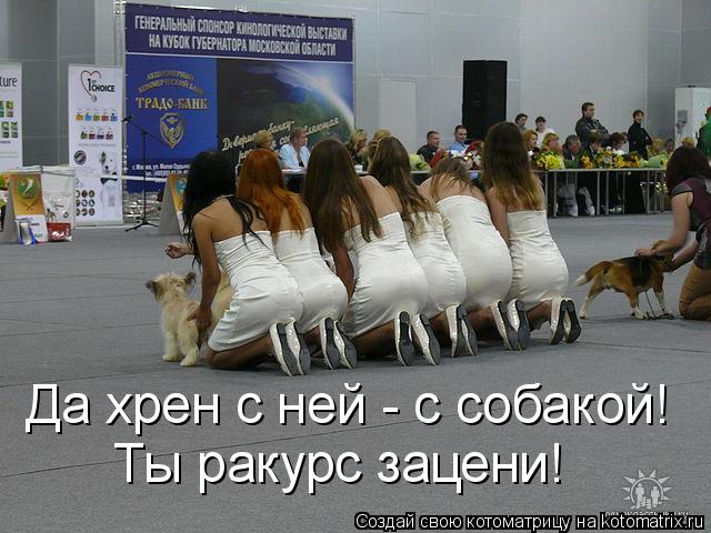 Да хрен с ней - с собакой! Ты ракурс зацени!... Котоматрица: Да хрен с ней - с собакой! Ты ракурс зацени!