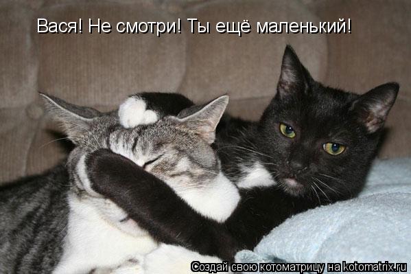 Вася! Не смотри! Ты ещё маленький!... Котоматрица: Вася! Не смотри! Ты ещё маленький!