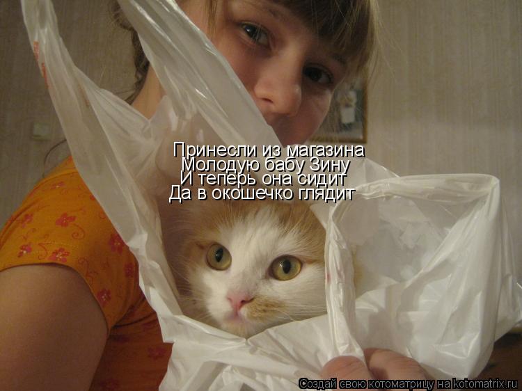 Принесли из магазина Молодую бабу Зину И теперь она сидит Да в окошечко глядит... Котоматрица: Принесли из магазина Молодую бабу Зину И теперь она сидит Да в окошечко глядит