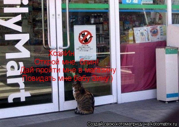 ХозяИн Открой мне, блин! Дай пройти мне в магазину Повидать мне бабу Зину:)... Котоматрица: ХозяИн Открой мне, блин! Дай пройти мне в магазину Повидать мне бабу Зину:)