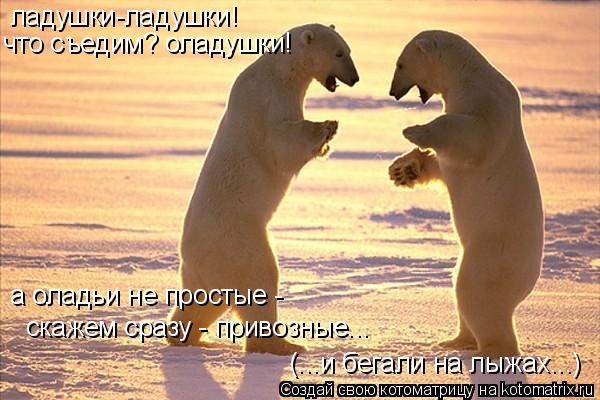 ладушки-ладушки! что съедим? оладушки! а оладьи не простые - скажем сразу - привозные... (...и бегал... Котоматрица: ладушки-ладушки! что съедим? оладушки! а оладьи не простые - скажем сразу - привозные... (...и бегали на лыжах...)