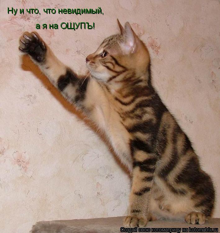 Ну и что, что невидимый, а я на ОЩУПЪ!... Котоматрица: Ну и что, что невидимый, а я на ОЩУПЪ!