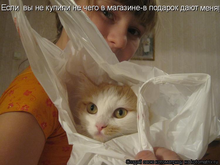 Если вы не купили не чего в магазине-в подарок дают меня !... Котоматрица: Если вы не купили не чего в магазине-в подарок дают меня !