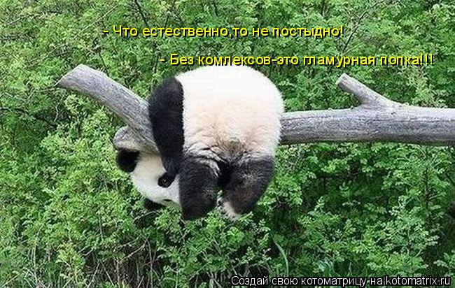 - Что естественно,то не постыдно! - Без комлексов-это гламурная попка!!!... Котоматрица: - Что естественно,то не постыдно! - Без комлексов-это гламурная попка!!!