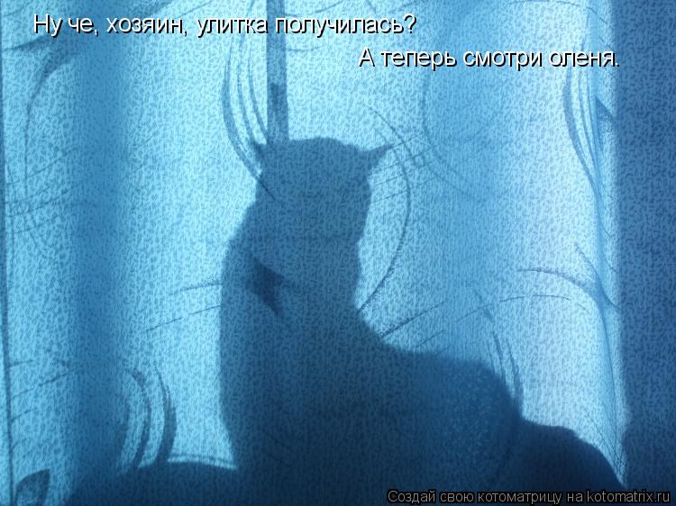 Ну че, хозяин, улитка получилась? А теперь смотри оленя.... Котоматрица: Ну че, хозяин, улитка получилась? А теперь смотри оленя.