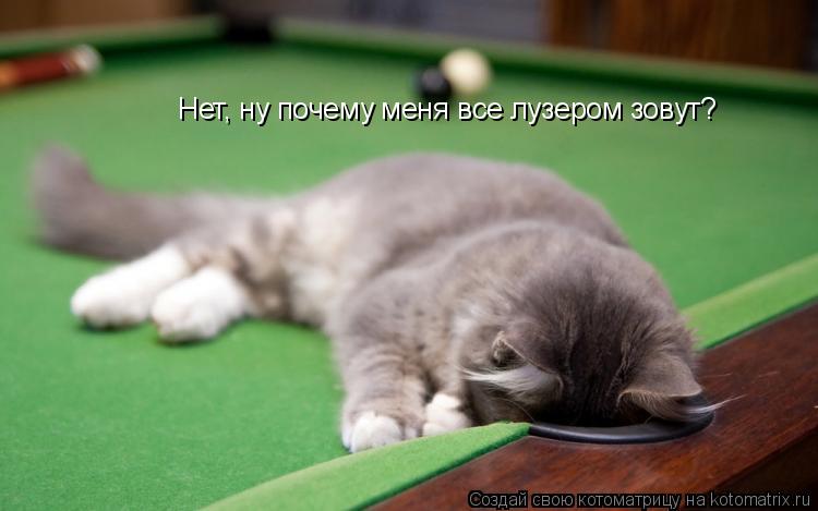 Нет, ну почему меня все лузером зовут?... Котоматрица: Нет, ну почему меня все лузером зовут?