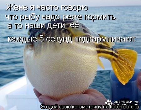 Жене я часто говорю что рыбу надо реже кормить, а то наши дети каждые 5 секунд подкармливают. её... Котоматрица: Жене я часто говорю что рыбу надо реже кормить, а то наши дети каждые 5 секунд подкармливают. её