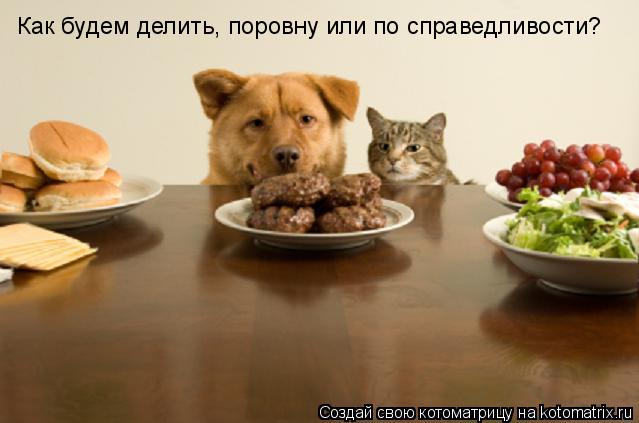 Как будем делить, поровну или по справедливости?... Котоматрица: Как будем делить, поровну или по справедливости?
