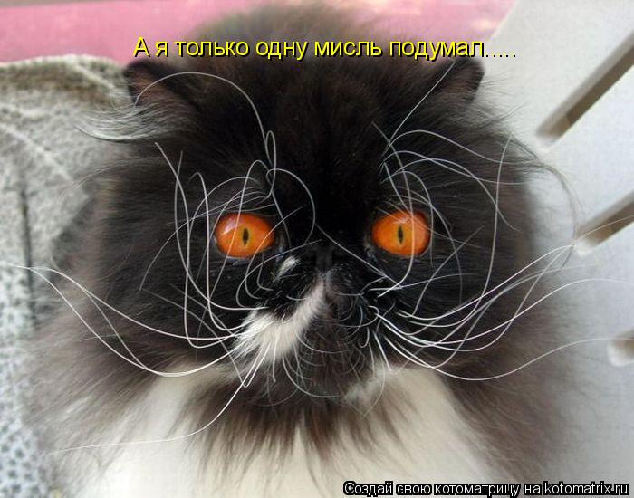 А я только одну мисль подумал........ Котоматрица: А я только одну мисль подумал.....