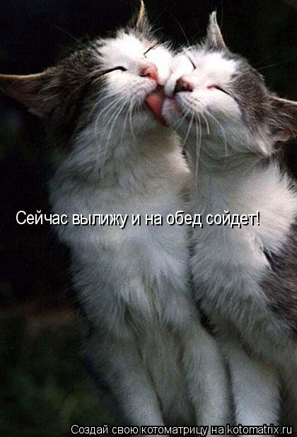 Сейчас вылижу и на обед сойдет!... Котоматрица: Сейчас вылижу и на обед сойдет!