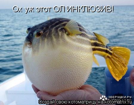 Ох уж этот ОЛ ИНКЛЮЗИВ!... Котоматрица: Ох уж этот ОЛ ИНКЛЮЗИВ!