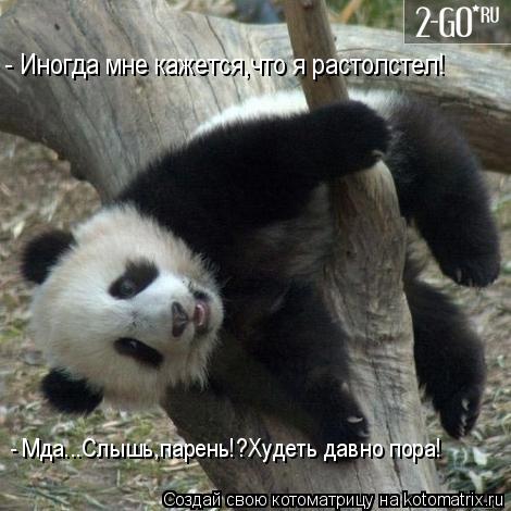 - Иногда мне кажется,что я растолстел! - Мда...Слышь,парень!?Худеть давно пора!... Котоматрица: - Иногда мне кажется,что я растолстел! - Мда...Слышь,парень!?Худеть давно пора!