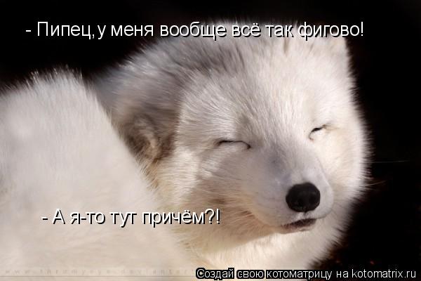 - Пипец,у меня вообще всё так фигово! - А я-то тут причём?!... Котоматрица: - Пипец,у меня вообще всё так фигово! - А я-то тут причём?!