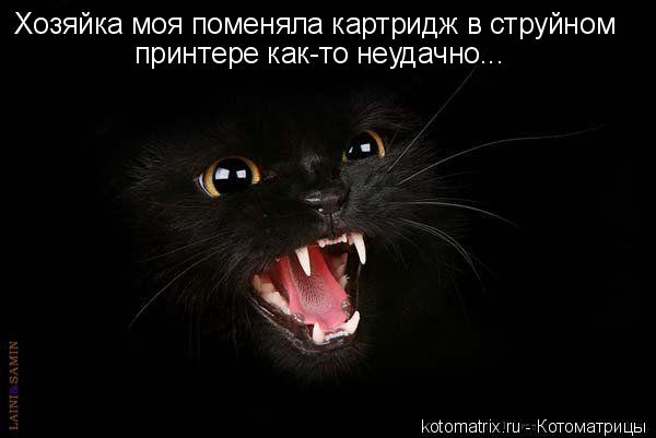 Хозяйка моя поменяла картридж в струйном принтере как-то неудачно...... Котоматрица: Хозяйка моя поменяла картридж в струйном принтере как-то неудачно...