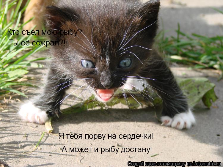 Кто съел мою рыбу? Ты её сожрал?!! Я тебя порву на сердечки! А может и рыбу достану!... Котоматрица: Кто съел мою рыбу? Ты её сожрал?!! Я тебя порву на сердечки! А может и рыбу достану!