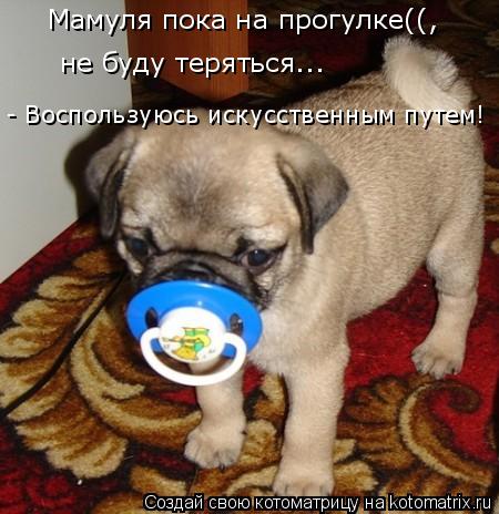 Мамуля пока на прогулке((, не буду теряться... - Воспользуюсь искусственным путем!... Котоматрица: Мамуля пока на прогулке((, не буду теряться... - Воспользуюсь искусственным путем!