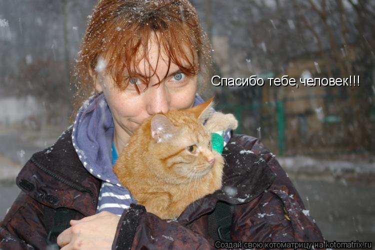 Спасибо тебе,человек!!!... Котоматрица: Спасибо тебе,человек!!!