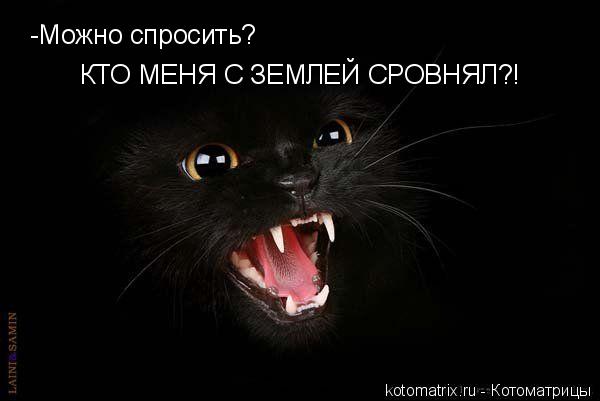 -Можно спросить? КТО МЕНЯ С ЗЕМЛЕЙ СРОВНЯЛ?!... Котоматрица: -Можно спросить? КТО МЕНЯ С ЗЕМЛЕЙ СРОВНЯЛ?!