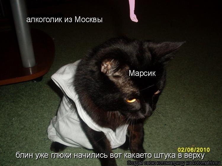 алкоголик из Москвы Марсик блин уже глюки начились вот какаето штука в верху... Котоматрица: алкоголик из Москвы Марсик блин уже глюки начились вот какаето штука в верху