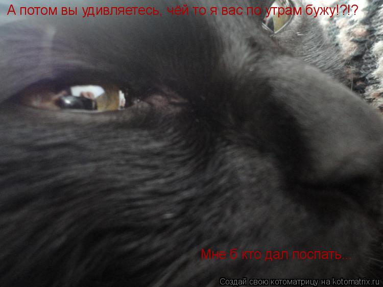 А потом вы удивляетесь, чёй то я вас по утрам бужу!?!? Мне б кто дал поспать...... Котоматрица: А потом вы удивляетесь, чёй то я вас по утрам бужу!?!? Мне б кто дал поспать...