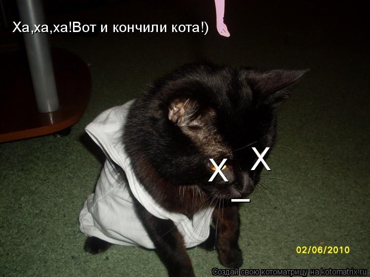 Х Х _ Ха,ха,ха!Вот и кончили кота!)... Котоматрица: Х Х _ Ха,ха,ха!Вот и кончили кота!)