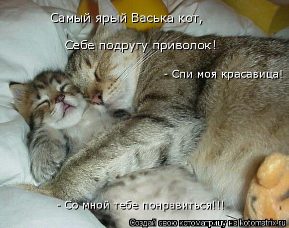 Самый ярый Васька кот, Себе подругу приволок! - Спи моя красавица! - Со мной тебе понравиться!!!... Котоматрица: Самый ярый Васька кот, Себе подругу приволок! - Спи моя красавица! - Со мной тебе понравиться!!!