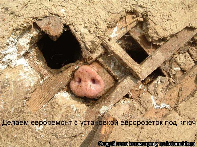 Делаем евроремонт с установкой евророзеток под ключ!... Котоматрица: Делаем евроремонт с установкой евророзеток под ключ!