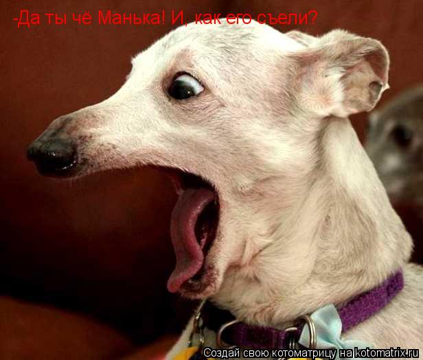 -Да ты чё Манька! И, как его съели?... Котоматрица: -Да ты чё Манька! И, как его съели?
