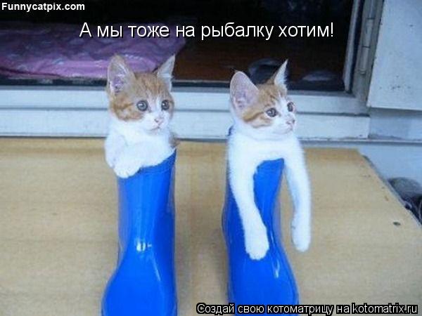 А мы тоже на рыбалку хотим!... Котоматрица: А мы тоже на рыбалку хотим!