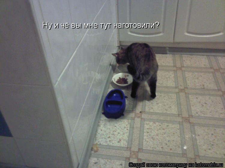 Ну и чё вы мне тут наготовили?... Котоматрица: Ну и чё вы мне тут наготовили?