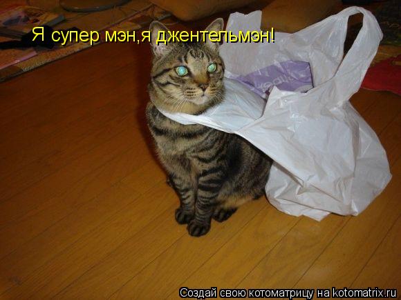 Я супер мэн,я джентельмэн!... Котоматрица: Я супер мэн,я джентельмэн!