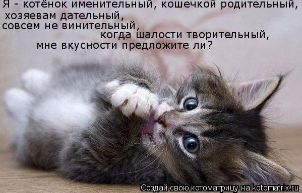 хозяевам дательный, совсем не винительный, когда шалости творительный, Я - котёнок именительный, кош... Котоматрица: хозяевам дательный, совсем не винительный, когда шалости творительный, Я - котёнок именительный, кошечкой родительный, мне вкусности пред