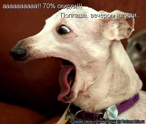 аааааааааа!! 70% скидки!!! Полкаша, вечером не жди..... Котоматрица: аааааааааа!! 70% скидки!!! Полкаша, вечером не жди..