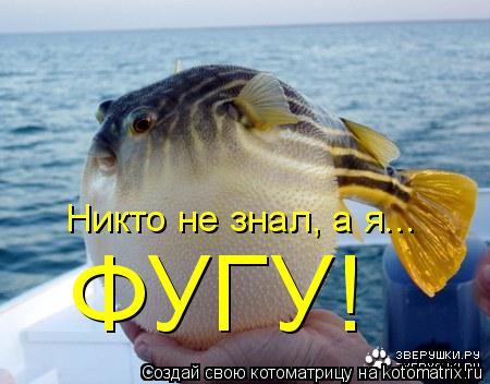 Никто не знал, а я... ФУГУ!... Котоматрица: Никто не знал, а я... ФУГУ!