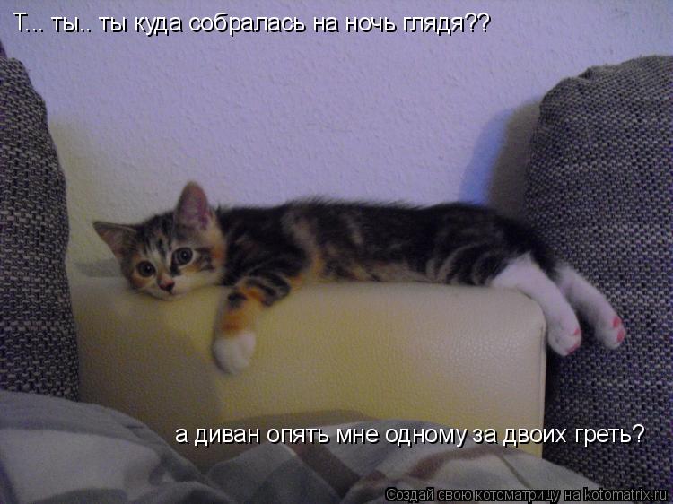 Т... ты.. ты куда собралась на ночь глядя?? а диван опять мне одному за двоих греть?... Котоматрица: Т... ты.. ты куда собралась на ночь глядя?? а диван опять мне одному за двоих греть?