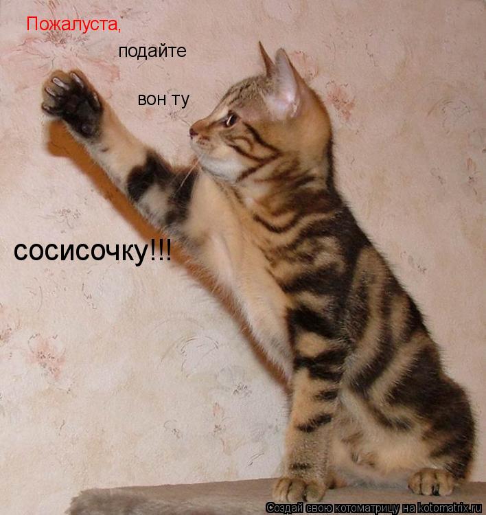 Пожалуста, подайте вон ту сосисочку!!!... Котоматрица: Пожалуста, подайте вон ту сосисочку!!!